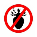 GRZEBIEŃ NA WSZY, GNIDY, PCHŁY I INSEKTY